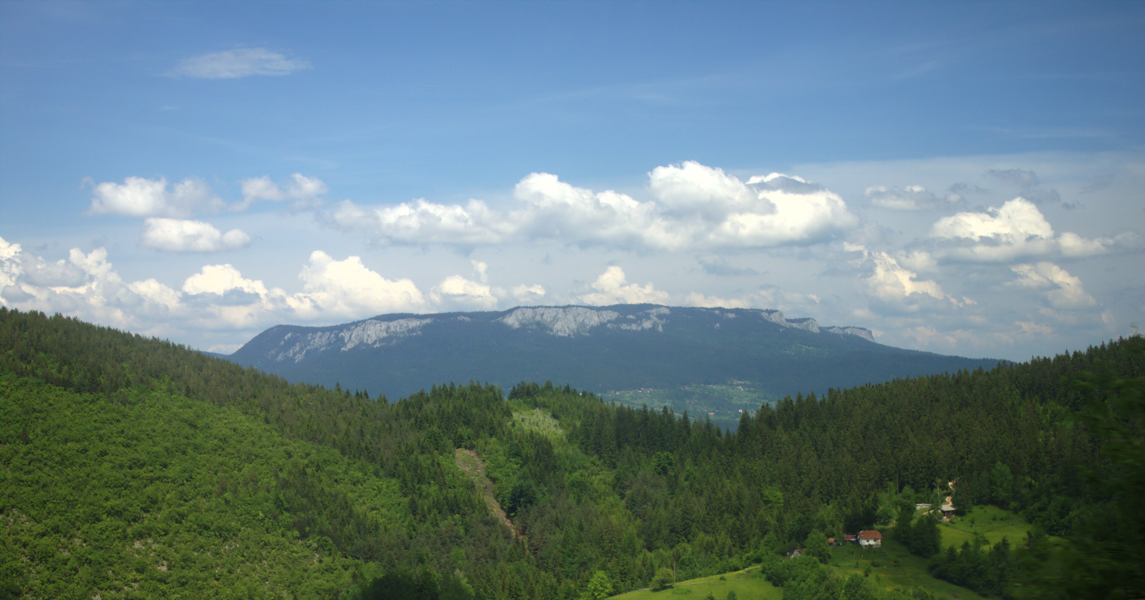 Priroda Romanije